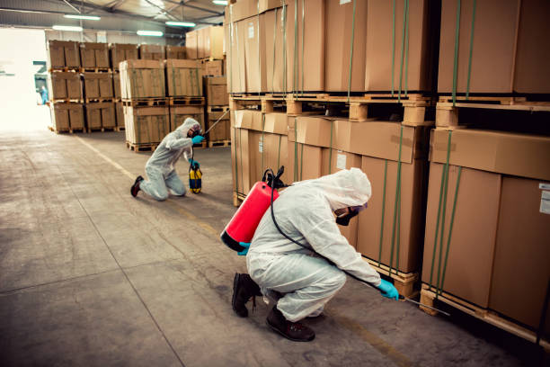 Hillside, IL Pest Control Company