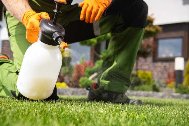 Best Flea Control Services  in Hlside, IL