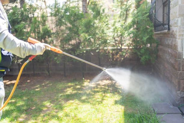 Best Pest Prevention Services  in Hlside, IL