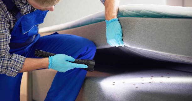 Best Commercial Pest Control Services  in Hlside, IL