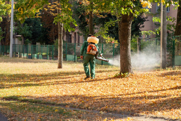 Best Wasp Removal Services  in Hlside, IL