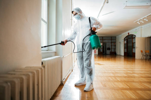 Best Pest Control Treatment  in Hlside, IL