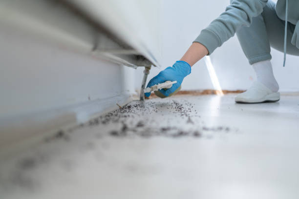 Best Pest Removal Services  in Hlside, IL
