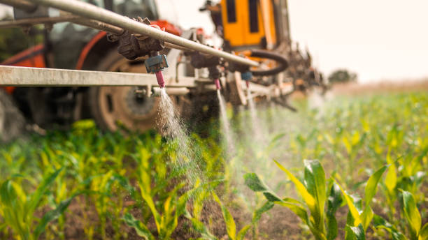 Best Best Pest Control Companies  in Hlside, IL